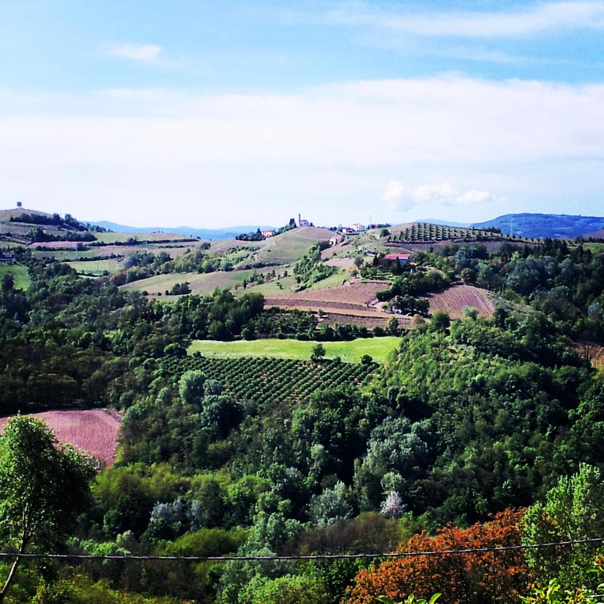 Castel Boglione Bed And Breakfast Val D'Oche מראה חיצוני תמונה