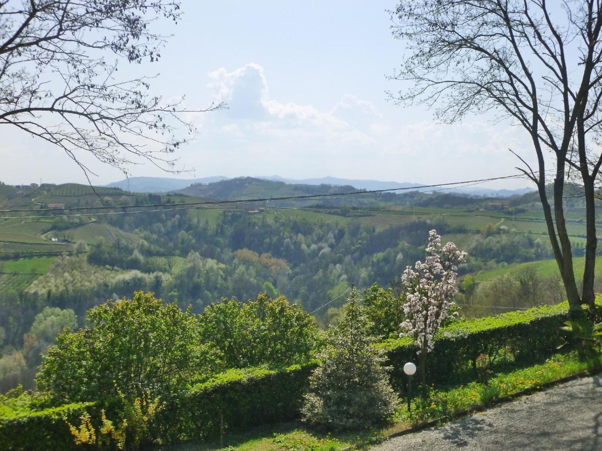 Castel Boglione Bed And Breakfast Val D'Oche מראה חיצוני תמונה