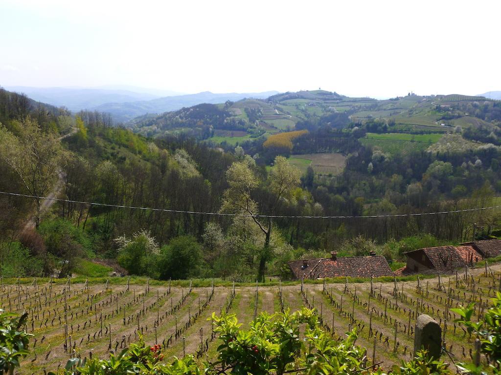 Castel Boglione Bed And Breakfast Val D'Oche מראה חיצוני תמונה