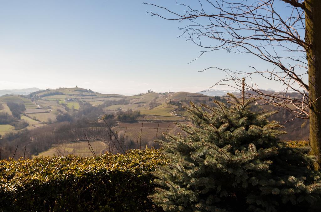 Castel Boglione Bed And Breakfast Val D'Oche מראה חיצוני תמונה